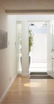 Vertical video: Right door panel is swinging after pull showing plant mat sun patch lighting hall