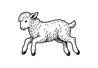 Fototapeta premium Fluffy Lamb Hand Drawn Illustration Vector by AZ for Books, Arts, Design and Decoration Graphic Asset