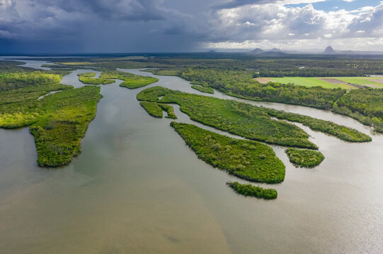 Aerial view of murky streams of water running through green mangrove wetlands