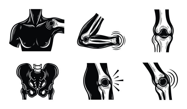 Human joint anatomy icons featuring shoulder elbow knee pelvis and hip bone structures