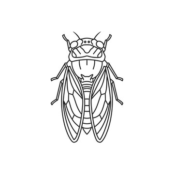 Cicada Insect Line Art Isolated on White vector illustration