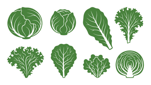 Green cabbage and lettuce leaf silhouette set for vegetable design projects