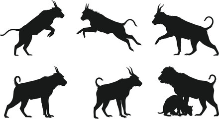 Mythical creature silhouettes, hybrid feline canine poses, fantasy animal, wildlife vector illustration design set © Khaleda Creative