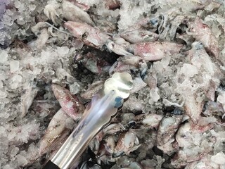 A close-up view from the top of a person selecting and picking up fresh squid from a box filled with ice using tongs at a supermarket
