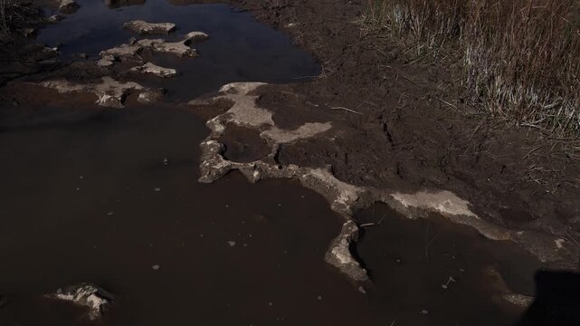 A close-up view of muddy water on a trail, a mixture of rocks, mud, and twigs.
