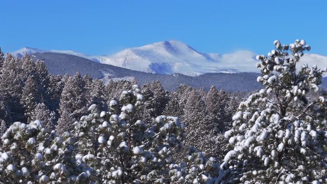 Winter morning Mt Blue Sky Mount Evans Front Range Rocky Mountains deep fresh snow sunny blue sky aerial drone Colorado Denver Evergreen Conifer prominent snow capped peak snowy forest trees circle