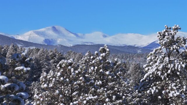 Winter morning Mt Blue Sky Mount Evans Front Range Rocky Mountains deep fresh snow sunny blue sky aerial drone Colorado Denver Evergreen Conifer prominent snow capped peak snowy forest trees upwards