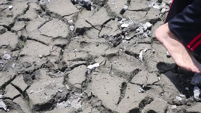 Walking on dry, cracked ground during a prolonged drought.
