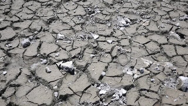 Walking on dry, cracked ground during a prolonged drought.