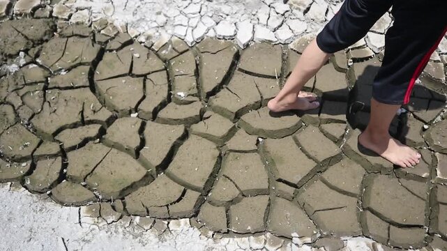 Walking on dry, cracked ground during a prolonged drought.