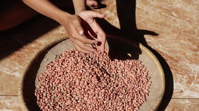 Hand holding peanuts on a bamboo tray.