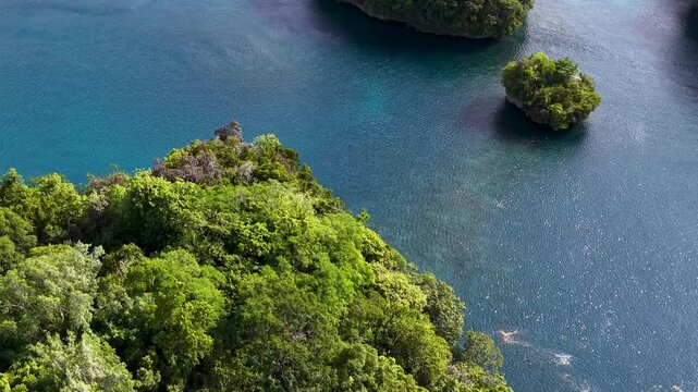 Aerial View of Lush Tropical Rock Islands in Palau