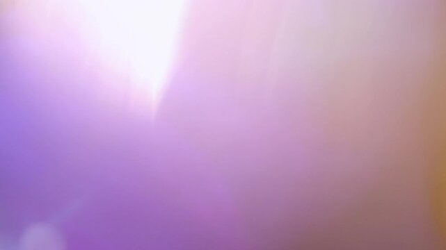 Warm Glowing Light Leak Effect for Spring Beauty Film