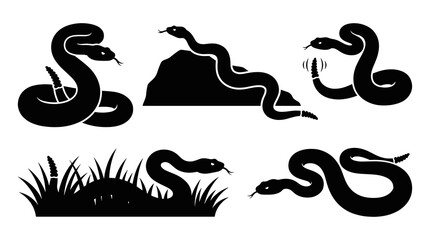 Obraz premium Wild rattlesnake vector black silhouette set with desert habitat elements rocks grass warning rattle tail and striking pose isolated flat graphic illustration.