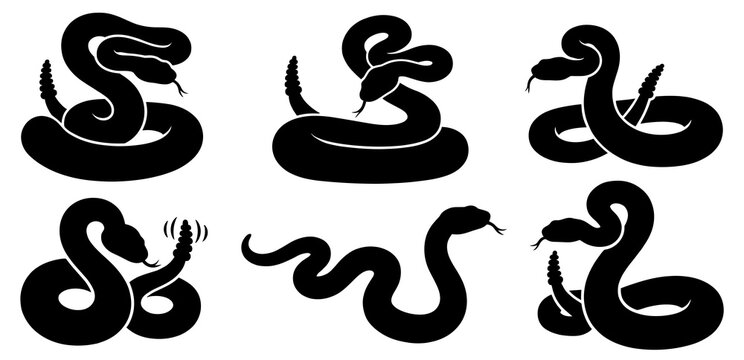 Rattlesnake vector black silhouette set. Venomous snake poses, coiled, slithering, and striking reptiles isolated on white background.