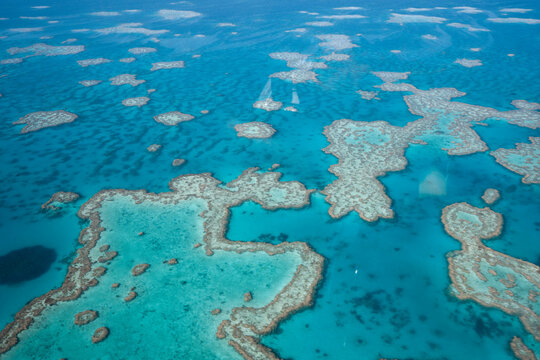 Great barrier reef aerial view showing vibrant coral ecosystem