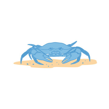 Blue Crab on the Sand vector illustration