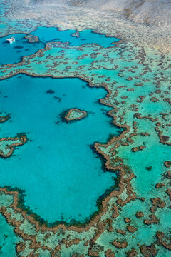 Heart reef aerial view great barrier reef queensland australia