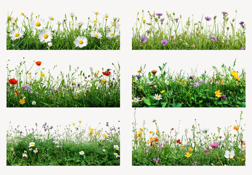 Colorful Wildflowers In Lush Meadows Element Design Set