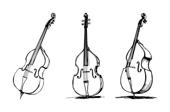 Double bass set with sketchbook style drawing featuring upright double bass, black ink pen, artistic textures with illustration and black and white