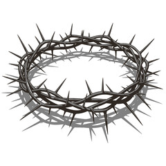 Fototapeta premium Realistic crown of thorns vector illustration on white background