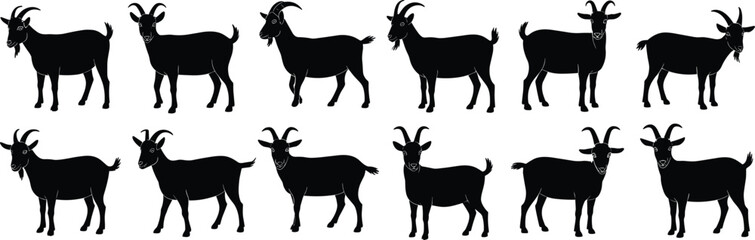 Obraz premium Black goat silhouettes collection, farm animal illustrations, livestock icons, horned goats vector set, domestic animals graphic design