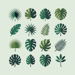 Fototapeta premium Collection of various green tropical leaf shapes and types on light green background
