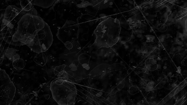 Dark abstract background with translucent organic shapes and scratches
