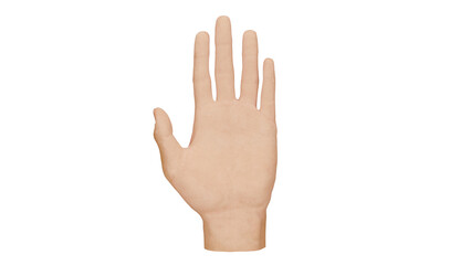 Obraz premium 3D model of a human hand with fingers open and palm facing forward