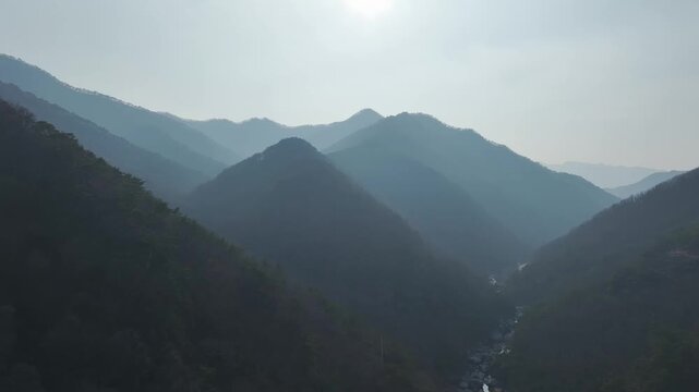 Aerial drone shot of a resilient pine tree growing on a steep, rocky cliff in Mungyeong, South Korea
