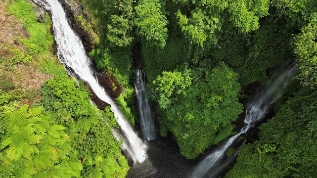 Aerial drone view of multiple cascades at Sekumpul Waterfall in North Bali, Indonesia. Tall white streams flow down steep rainforest cliffs covered in vibrant green vegetation