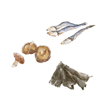 水彩で描いた煮干しと昆布と干し椎茸のイラスト