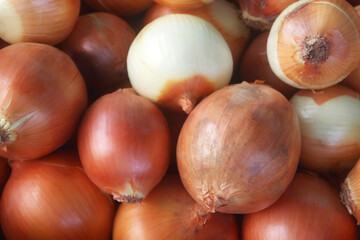 Many onion bulbs as background	