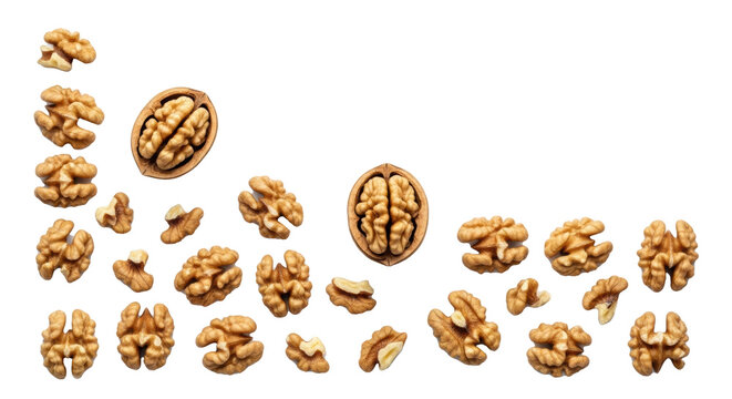 Shelled walnuts, whole halves and fragments, with natural textures on a transparent background and ample copy space, illuminated by soft high-key studio light. Concept of wholesome natural goodness