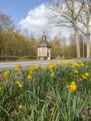 Obraz premium Diepenbeek, Belgium. Roadside chapel along a tree lined road with blooming yellow daffodils in early spring.