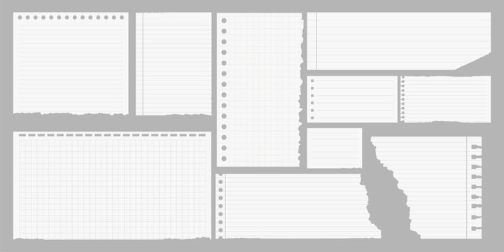 Torn notebook paper collection vector element