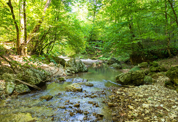 a mountain river with a calm flow and current in the warm season in nature and on a sunny day
