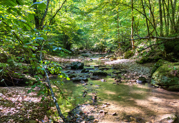 Obraz premium a mountain river with a calm flow and current in the warm season in nature and on a sunny day