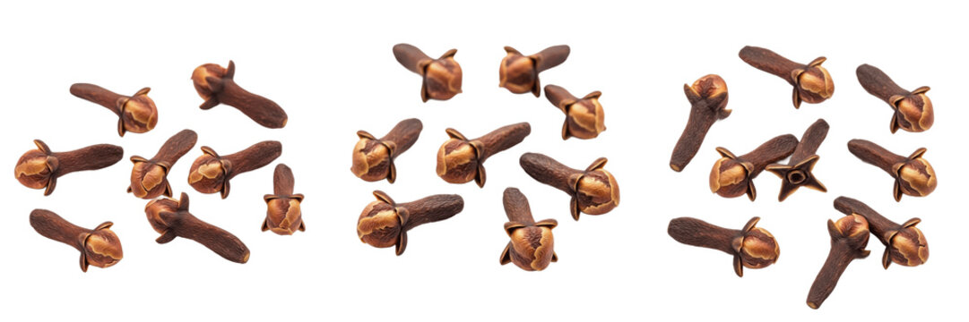 Set of dried organic cloves spice scattered and isolated on transparent png background oil paint
