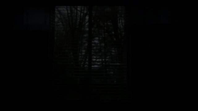 Lightning flashing outside a house window with blinds during a nighttime thunderstorm, illuminating tree branches in the dark.