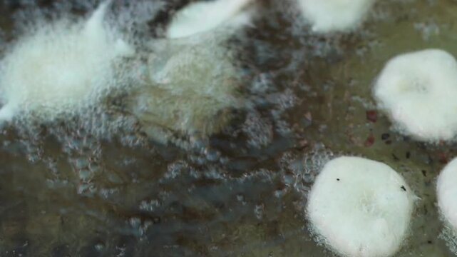 Close-up video showing a cook dropping lokma dough into hot oil during the preparation of traditional Turkish lokma dessert. Lokma is a fried sweet dough ball dessert distributed as charity in Islamic