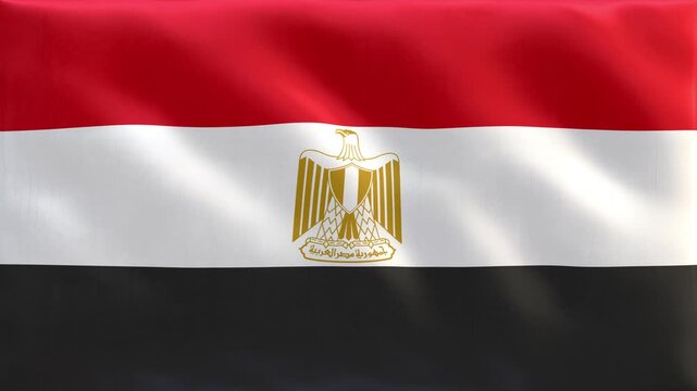 Egypt_National_Flag_Waving_Seamless_Loop_4K