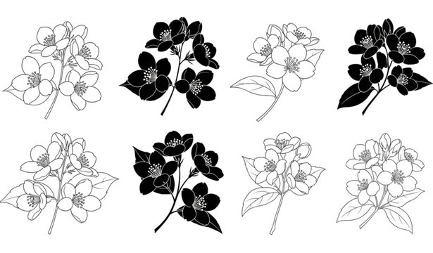 A set of eight black and white flower illustrations in various line art styles