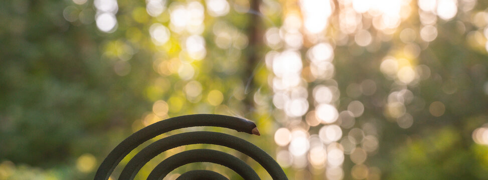 Green mosquito coil Insect repellent outdoors during summer. Trying to kill mosquitoes and flies. Prevention disinfection against mosquito bite during sunny day. 