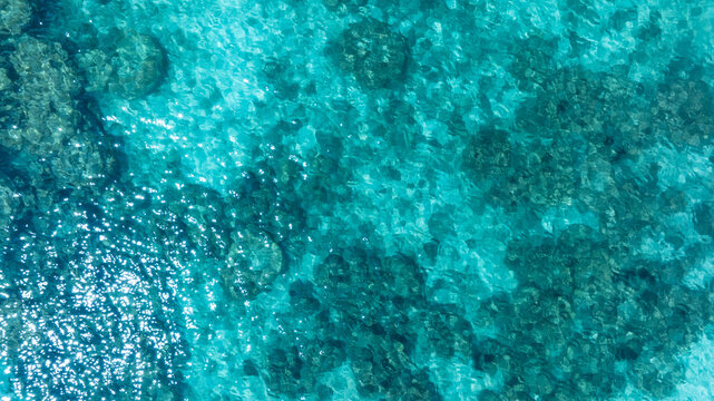 Top view of natural coral formations in shallow sea water with rippling sun reflections, perfect for summer vacation, snorkeling, and environmental conservation themes. concept environment lagoon.	