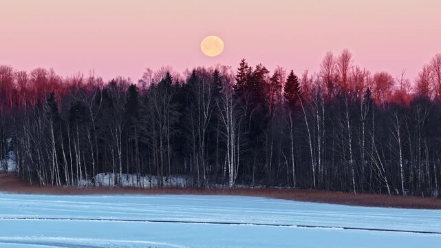 Blood moon merge pink sunset over leafless forest, car parked on frozen lake with open bonnet - aerial 4k