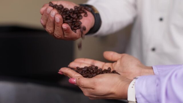 Roasted coffee beans poured between two hands in a tasting testing moment, slow motion pile
