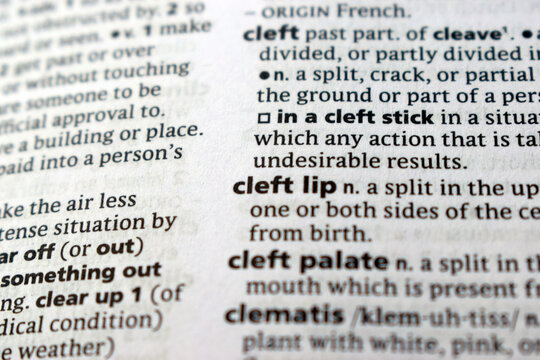 English Dictionary Page Close Up With The Word Transcription Of -cleft lip