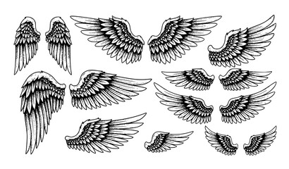 Hand drawn angel wings sketch set vintage engraving wing vector © MD