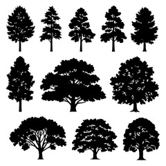 Fototapeta premium Collection of various tree silhouettes.